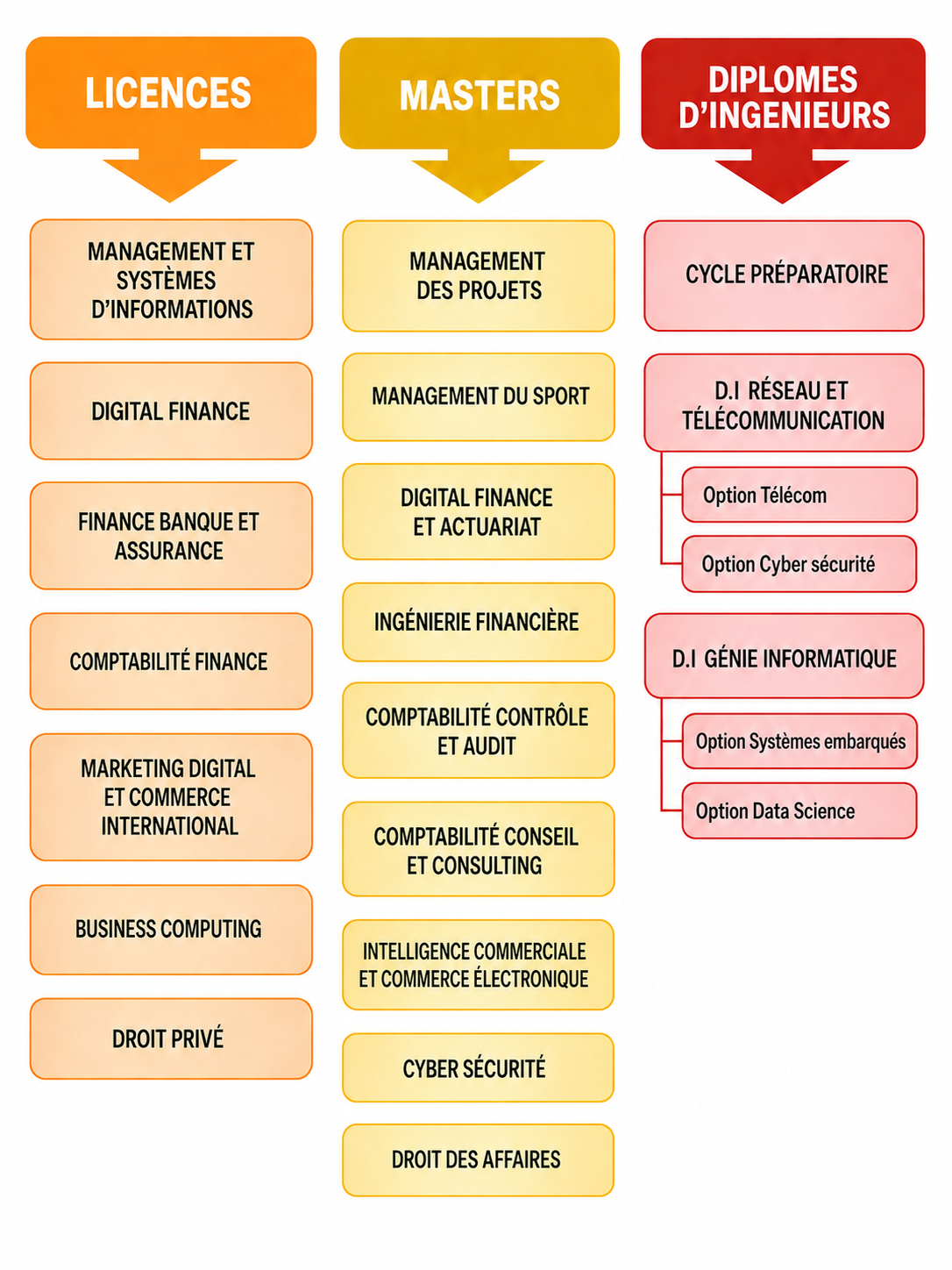 academic program chart infographic