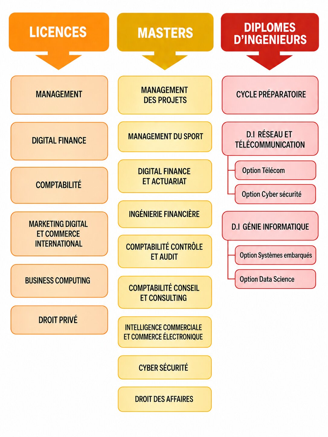 academic program flowchart infographic