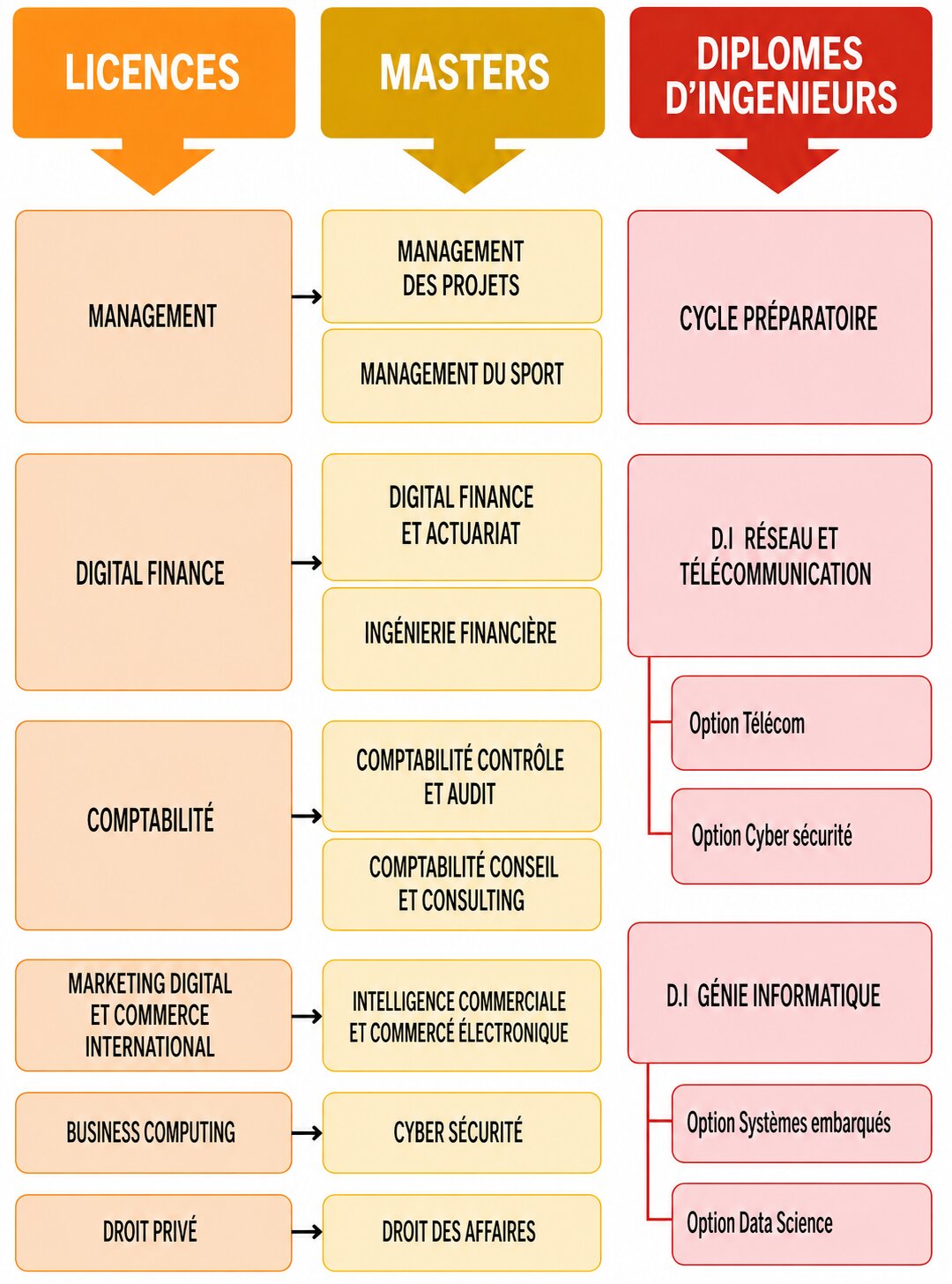 educational pathway chart with options