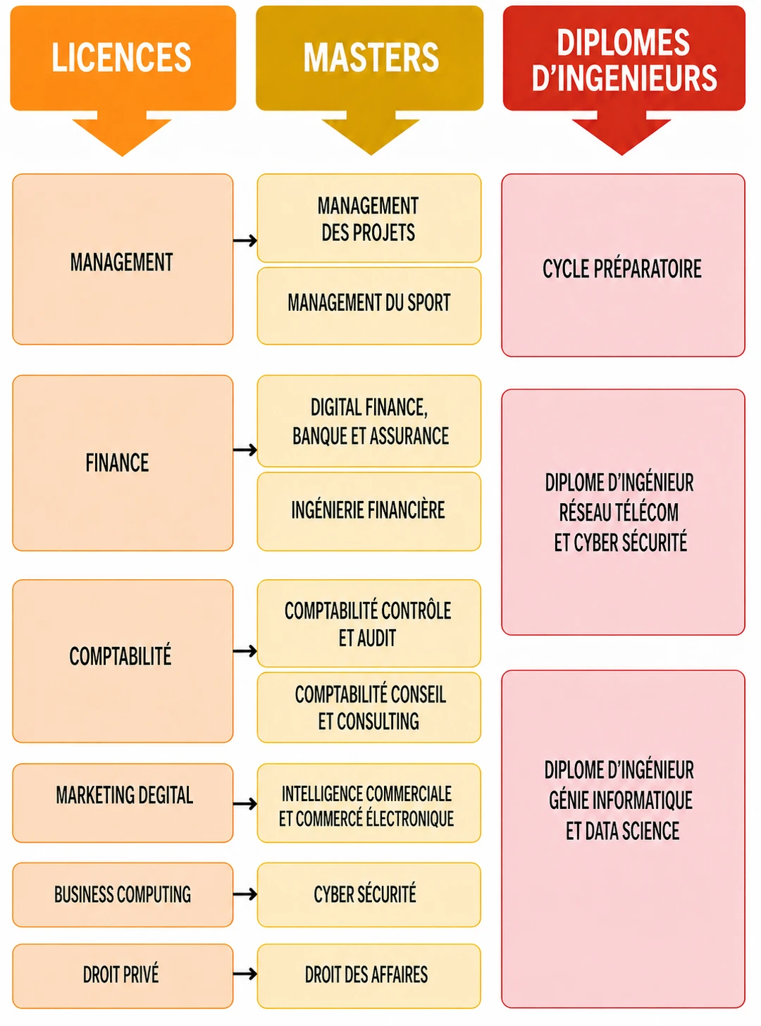 academic programs flowchart
